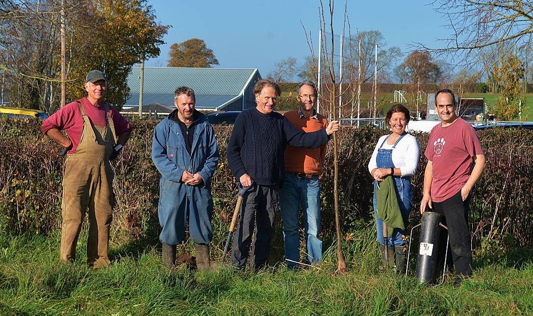 29th Jan – Trees for Somerset: Trees for your Parish