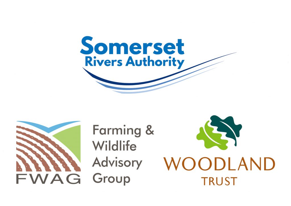 Reimagining the Levels Tree Planting Update 2022 RTL