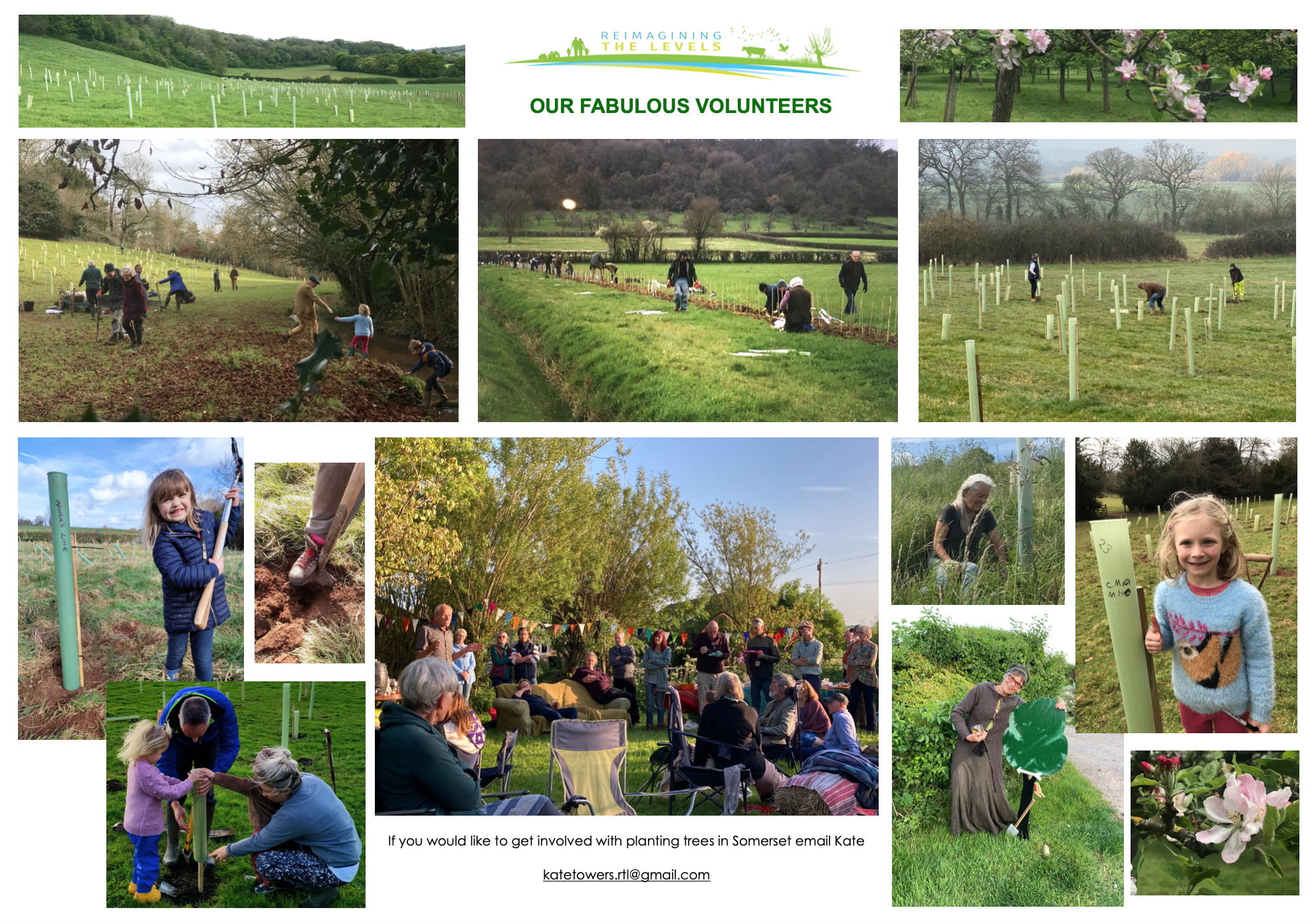 Images of volunteers planting trees around Somerset.